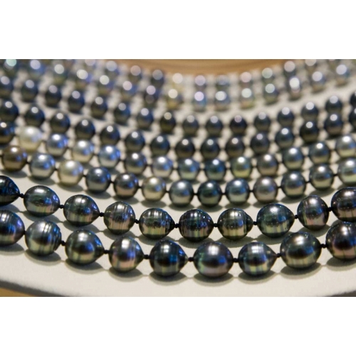 French Polynesia, Bora Bora Curtain of pearls